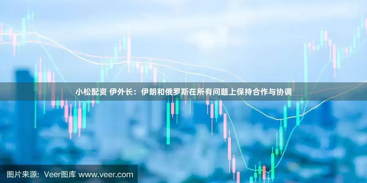 小松配资 伊外长：伊朗和俄罗斯在所有问题上保持合作与协调