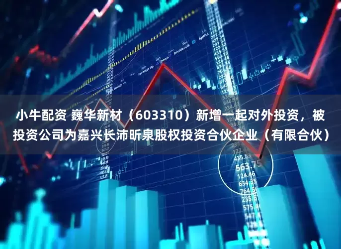 小牛配资 巍华新材（603310）新增一起对外投资，被投资公司为嘉兴长沛昕泉股权投资合伙企业（有限合伙）