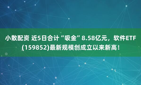 小散配资 近5日合计“吸金”8.58亿元，软件ETF(159852)最新规模创成立以来新高！