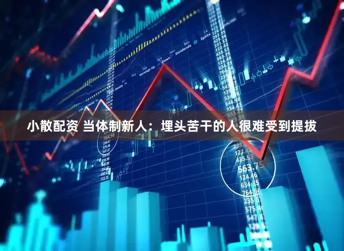 小散配资 当体制新人：埋头苦干的人很难受到提拔