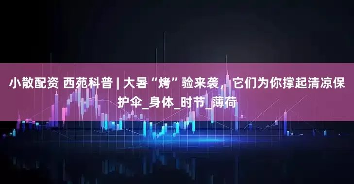 小散配资 西苑科普 | 大暑“烤”验来袭，它们为你撑起清凉保护伞_身体_时节_薄荷